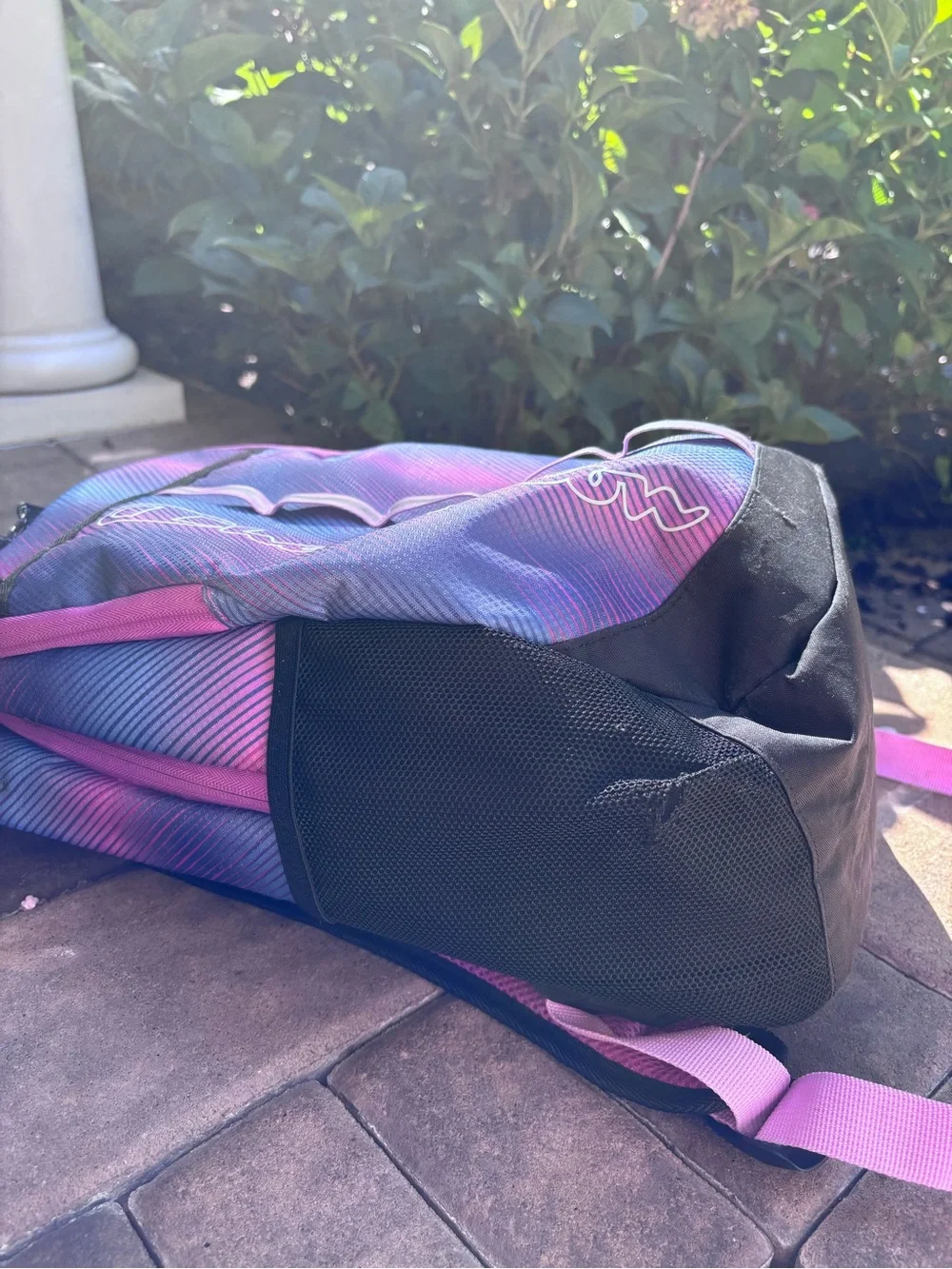 Champion Purple and Pink Ombre Backpack for Men